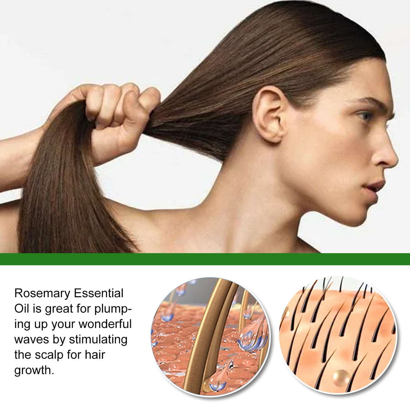 Rosemary Hair Care Essential Oil Anti-loss Hair Scalp Root